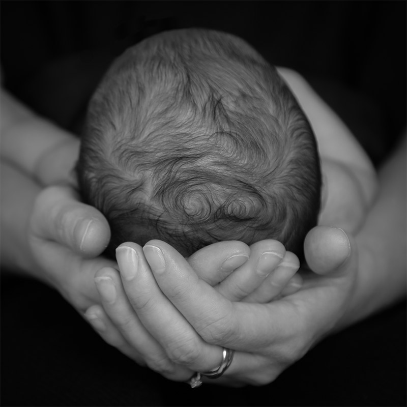 Newborn portrait photography